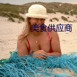 美食(shí)供应商