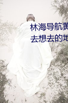 林海导航黄海茫茫扬帆起航带你去想去的地方