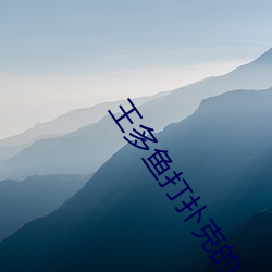 王多魚打撲克的app大全下載