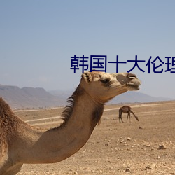 韩国十大伦理电影