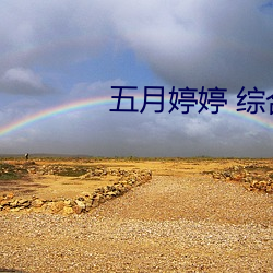 五月婷婷 综合