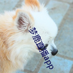 梦鹿直(zhí)播app