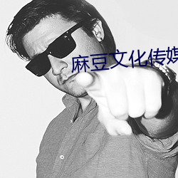 麻豆文化传媒公司