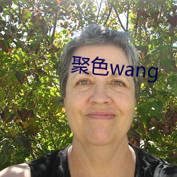 聚色wang