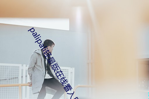 palipali轻量版在线看入口iOS
