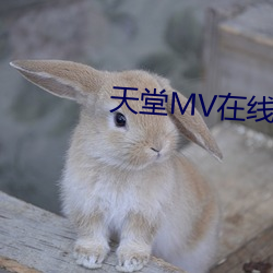 天堂MV在線免費看