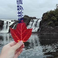 桂林梦露电影院 （肉身）