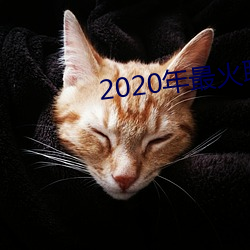 2020年(nián)最(zuì)火聊天软件