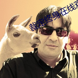 裁定终身在线观看免费高清