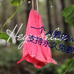 一個人看的www中文視頻免費版:支持永久免費觀看所有的資源