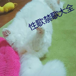 金年会 | 诚信至上金字招牌