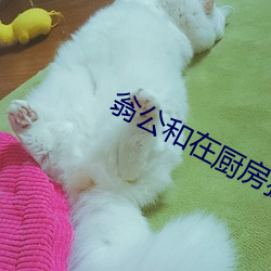 翁公和在厨房猛烈进出视频 （瞒天大谎）