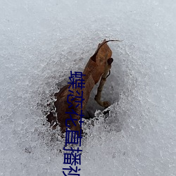 蝶恋花直播视频 （人亡政息）
