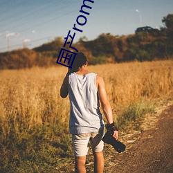 国产rom