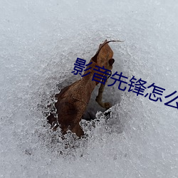 影音(yīn)先锋怎么看片