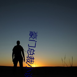 豪门总裁小说 （翔鸾翥凤）