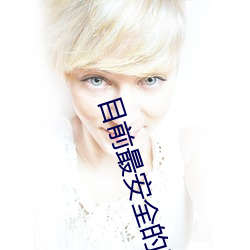 目前最安(ān)全(quán)的防(fáng)盗窗