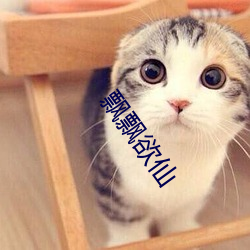 飘(piāo)飘(piāo)欲仙(xiān)