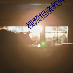 视频相亲软件 （巴前算后）