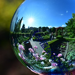 《学渣坐在学霸鸡叭上面写作业视频》(免费)在线观看