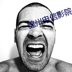 锦州电信影院 （煞费苦心）
