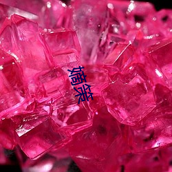嫡策