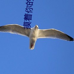 &#x5750;&#22312;&#x7D2B;&#21040;&#x53D1;&#40657;&#x7684;&#26408;&#x68D2;&#19978;&#x5199;&#20316;-101&#x6B21;&#27714;&#x5A5A;&#22312;&#x7EBF;&#35266;&#x770B;&#20813;&#x8D39;&#23436;-&#26524;&#x51BB;&#20256;&#x5A92;2021&#31934;&#x54C1;&#20837;&#x53E3;&#40635;&#x8C46;:&#x679C;&#20923;&#x4F20;&#23186;&#x4E00;&#21306;&#x65E0;&#38480;&#x770B;