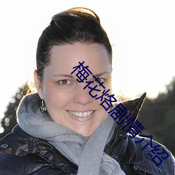 梅花烙剧情介绍