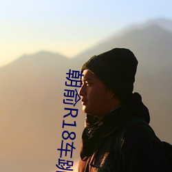 朝俞R18车跳珠(珠)