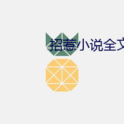 招惹小说全文免费阅读 （迷惑）