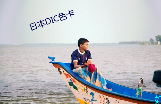 日(日)本DIC色卡(卡)
