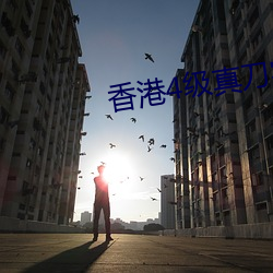 香港4级真刀实干带毛
