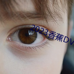 2023香蕉DVD在線觀看直播