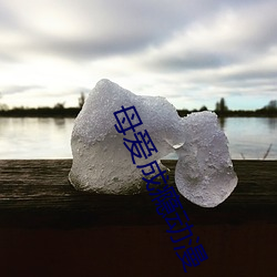 母(母)爱成瘾动(動)漫