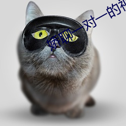娇聊一对一的视频聊天 （技术改革）