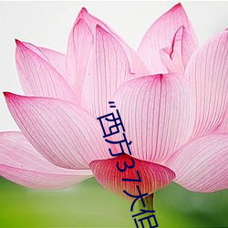 “西方37大但人文艺术A管张晓”