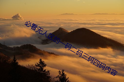 必看无人区的一码二码三码四码内容