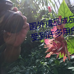 国外精品成品人入口苹果最新版:受到许多用户青睐的手机看