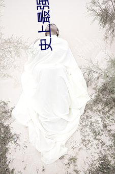 史上最强赘婿