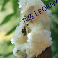 九色丨PORNYح蚪視頻完整版上線