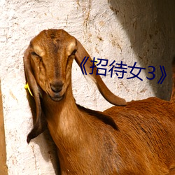 《招待女3》