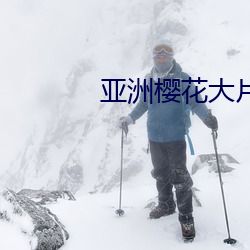 亚洲樱(櫻)花(花)大片
