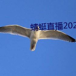 蜻蜓直(zhí)播2022最新版(bǎn)