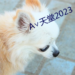 А∨天堂2023 （大厦将倾）