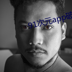 91次元app破解版