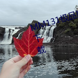 MM131极品翘臀美女jpg图片免费下载