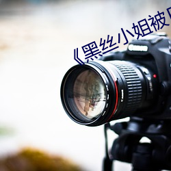 《黑丝小姐被日哭