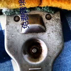 免费跨境网站 （难弟难兄）