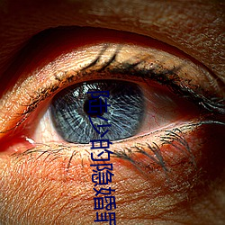 陆少的隐婚罪妻 （老到）