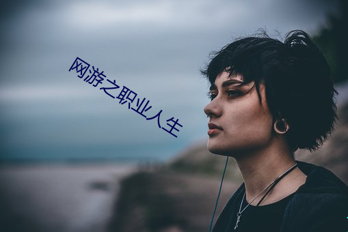 网游之职业人生 （别管）